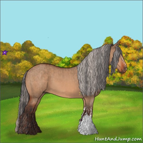 Horse Color:Bay Dun  and Silver Bay Dun 