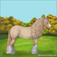 Horse Color:Red Dun Roan Splash Frame Rabicano 