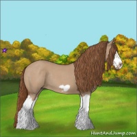 Horse Color:Red Dun Roan Splash Frame Rabicano