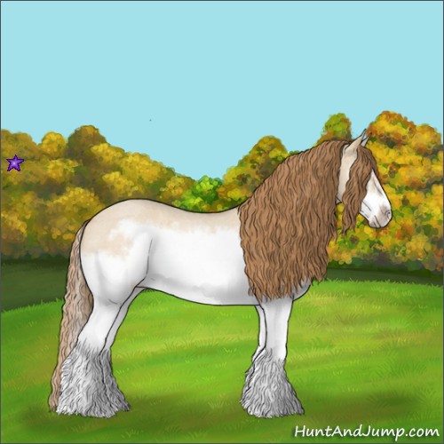 Horse Color:Red Dun Roan Splash Frame Rabicano 