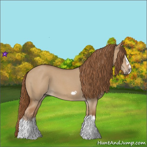 Horse Color:Red Dun Roan Splash Frame Rabicano