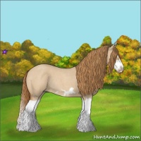 Horse Color:Red Dun Roan Splash Frame Rabicano 