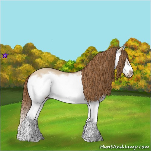 Horse Color:Red Dun Roan Splash Frame Rabicano 