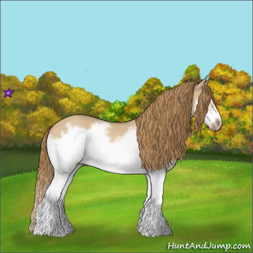 Horse Color:Red Dun Roan Splash Frame Rabicano 