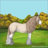 Horse Color:Red Dun Roan Splash Frame Rabicano 