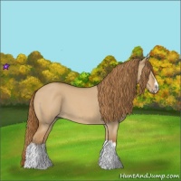 Horse Color:Red Dun Roan Splash Frame Rabicano 