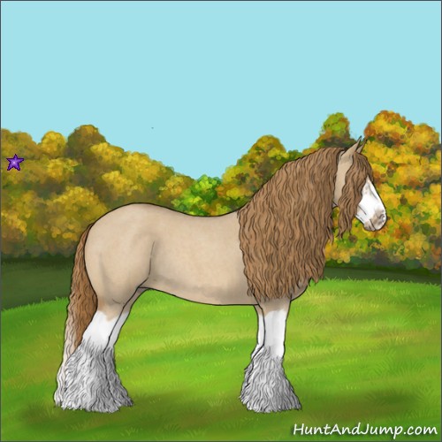 Horse Color:Red Dun Roan Splash Frame Rabicano