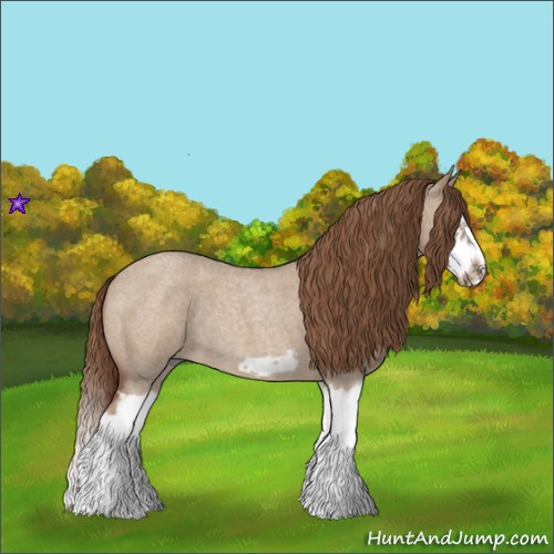 Horse Color:Red Dun Roan Splash Frame Rabicano