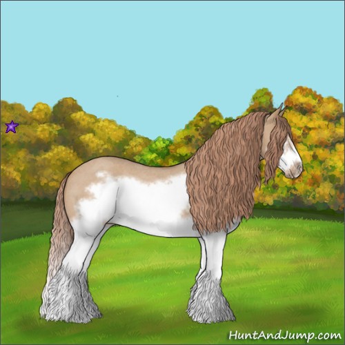 Horse Color:Red Dun Roan Splash Frame Rabicano