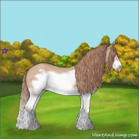 Horse Color:Red Dun Roan Splash Frame Rabicano 