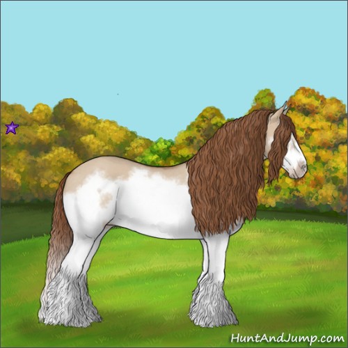 Horse Color:Red Dun Roan Splash Frame Rabicano 