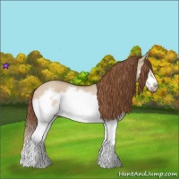 Horse Color:Red Dun Roan Splash Frame Rabicano 