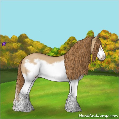 Horse Color:Red Dun Roan Splash Frame Rabicano