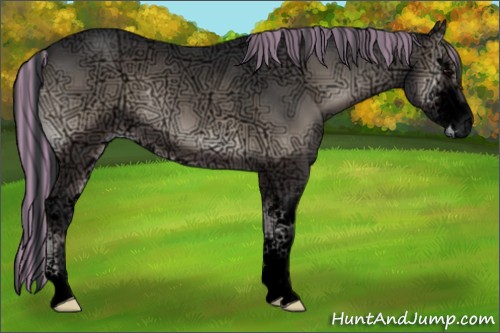 Horse Color:Void Painted Blue Onyx Ice Sabino