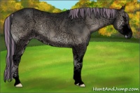 Horse Color:Void Painted Blue Onyx Ice Sabino 
