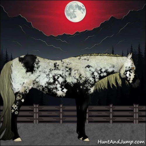 Horse Color:Void Watercolor Blue Onyx Ice Pearl Sabino Appaloosa Rabicano 