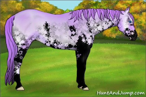 Horse Color:Void Watercolor Gold Champagne Onyx Splash