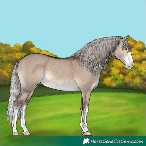 Horse Color:White Spotted Silver Brown Dun