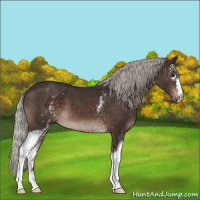 Horse Color:White Spotted Silver Brown 
