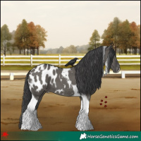 Horse Color:Grullo Tobiano Blanket 