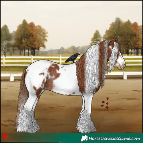 Horse Color:White Spotted Chestnut Tobiano Frame Rabicano 