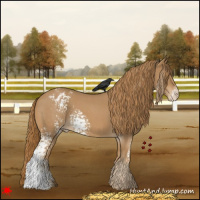 Horse Color:White Spotted Red Roan Varnish 