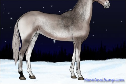 Horse Color:Void Platinum Silver Blue Onyx 