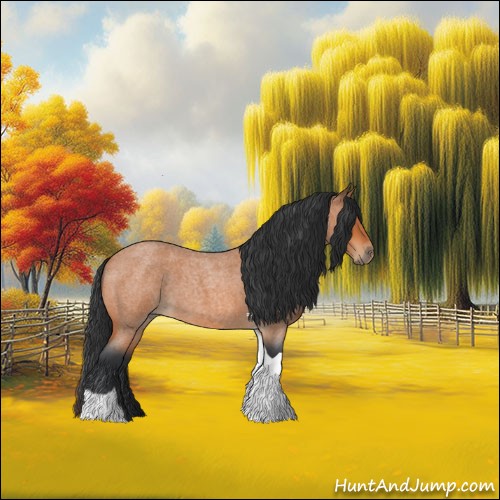 Horse Color:Bay Roan Tobiano