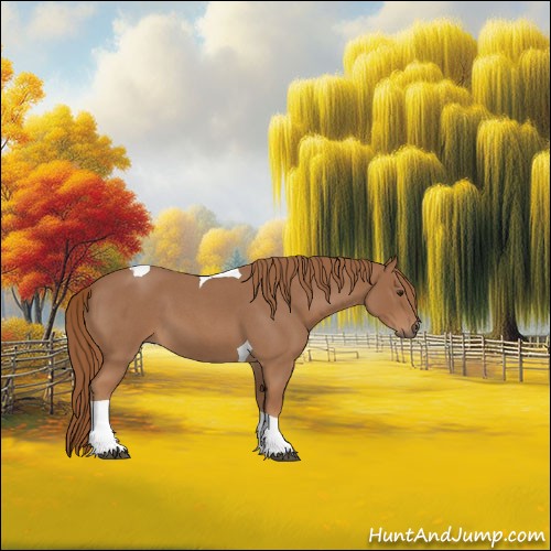 Horse Color:Red Roan Tobiano 