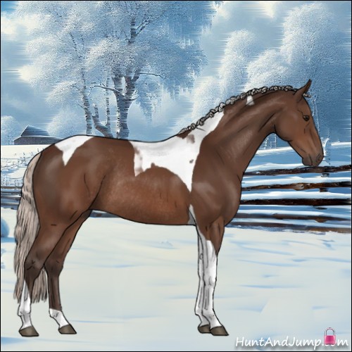 Horse Color:Silver Brown Tobiano Rabicano
