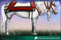 Horse Color:Gray Black Splash Near Fewspot 