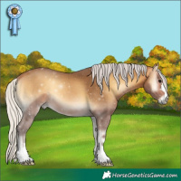 Horse Color:Silver Buckskin Onyx 