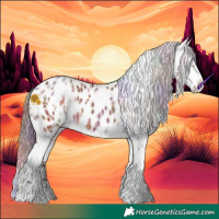 Horse Color:Chocolate Brown Ice Appaloosa Rabicano  and Nacre Chocolate Brown Ice Appaloosa Rabicano 
