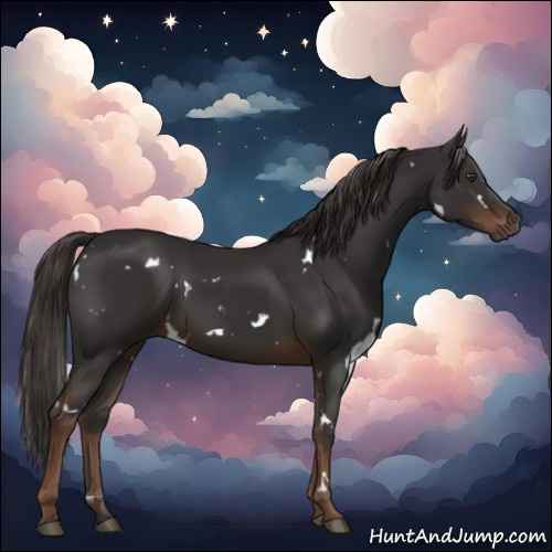 Horse Color:White Spotted Liver Chestnut