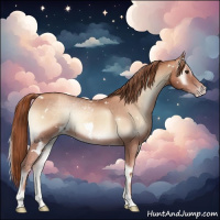 Horse Color:White Spotted Gold Champagne Onyx 