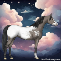 Horse Color:Grullo Roan Frame Snowcap 