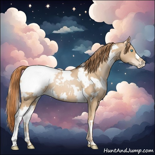 Horse Color:White Spotted Buckskin Pearl Appaloosa