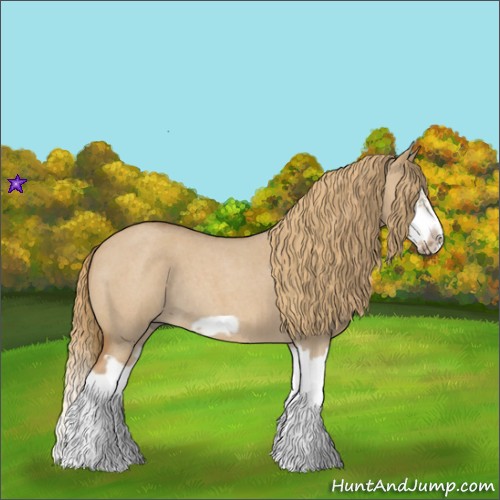 Horse Color:Red Dun Roan Splash Frame Rabicano 