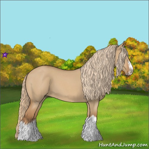 Horse Color:Red Dun Roan Splash Frame Rabicano 