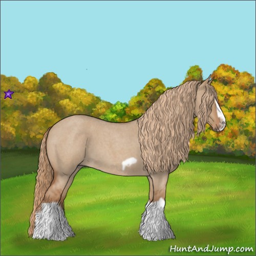 Horse Color:Red Dun Roan Splash Frame Rabicano 