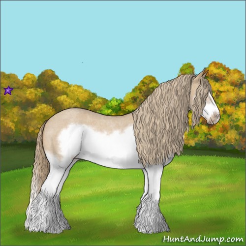 Horse Color:Red Dun Roan Splash Frame Rabicano