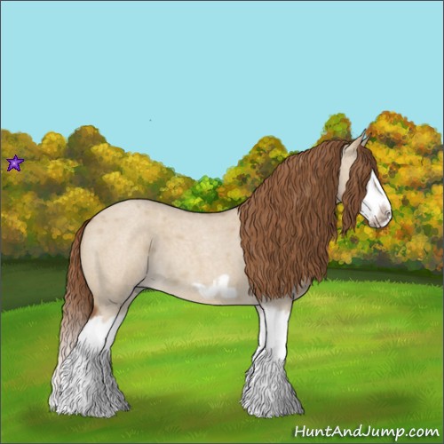 Horse Color:Red Dun Roan Splash Frame Rabicano