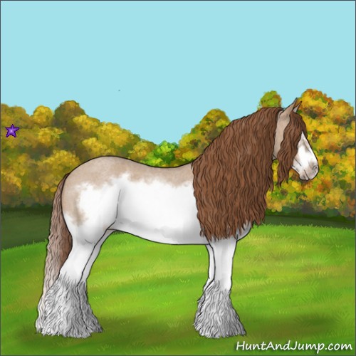 Horse Color:Red Dun Roan Splash Frame Rabicano