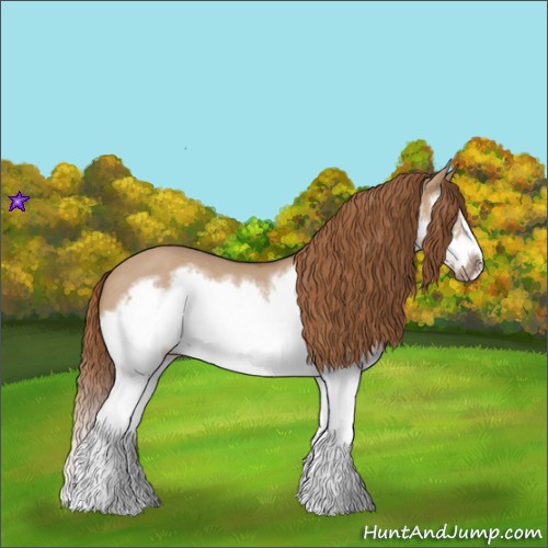 Horse Color:Red Dun Roan Splash Frame Rabicano 