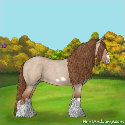 Horse Color:Red Dun Roan Splash Frame Rabicano 
