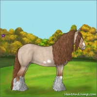 Horse Color:Red Dun Roan Splash Frame Rabicano 