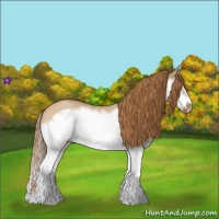Horse Color:Red Dun Roan Splash Frame Rabicano 