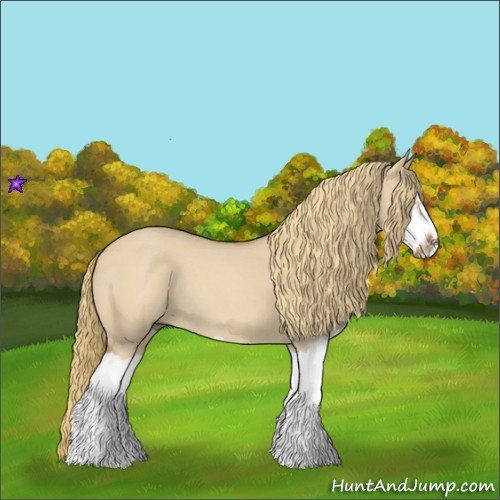 Horse Color:Red Dun Roan Splash Frame Rabicano 