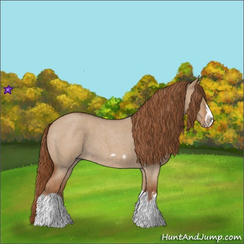 Horse Color:Red Dun Roan Splash Frame Rabicano 
