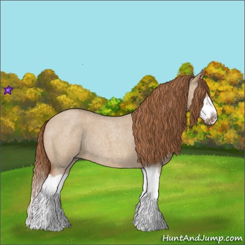 Horse Color:Red Dun Roan Splash Frame Rabicano 